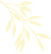 A yellow leaf is shown on the green background.